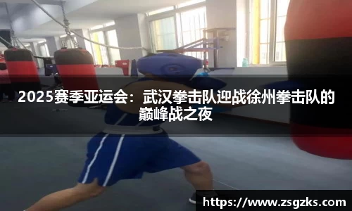 2025赛季亚运会：武汉拳击队迎战徐州拳击队的巅峰战之夜